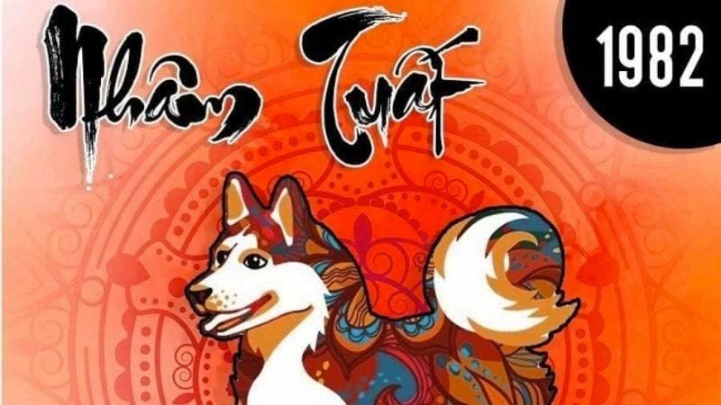 Tuổi 1982 làm nhà năm 2026 có tốt không? Luận giải chi tiết 1 Tổng quan về Tuổi Nhâm Tuất 1982