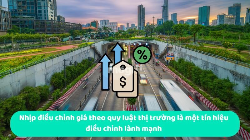 Thị trường bất động sản TPHCM 2026: Bước vào chu kỳ mới, chọn lọc phân khúc 10 Nhịp điều chỉnh giá theo quy luật thị trường là một tín hiệu điều chỉnh lành mạnh