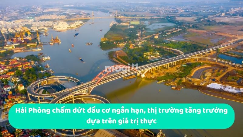 Hải Phòng chấm dứt đầu cơ ngắn hạn, thị trường tăng trưởng dựa trên giá trị thực
