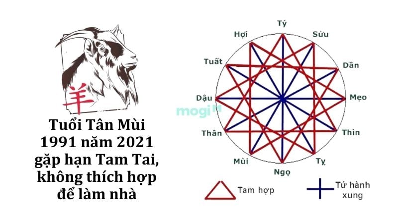 Năm 2026 là Bính Ngọ, thuộc nhóm hạn Tam Tai của Tân Mùi 1991