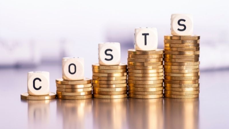 Áp lực chi phí đầu vào và giá nguyên vật liệu
