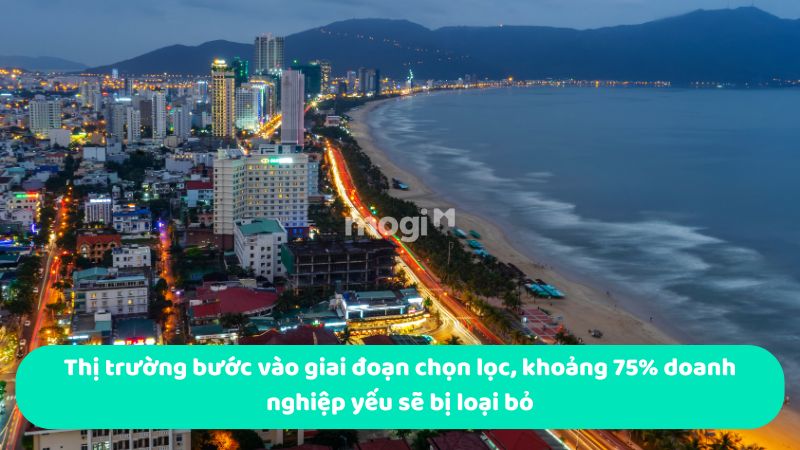 Thị trường bước vào giai đoạn chọn lọc, khoảng 75% doanh nghiệp yếu sẽ bị loại bỏ
