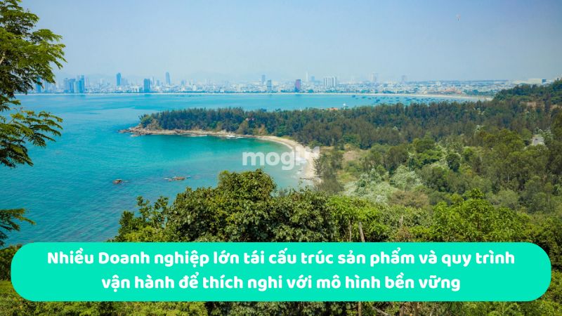 Nhiều Doanh nghiệp lớn tái cấu trúc sản phẩm và quy trình vận hành để thích nghi với mô hình bền vững