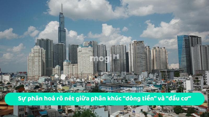 Sự phân hoá rõ nét giữa phân khúc “dòng tiền” và “đầu cơ”