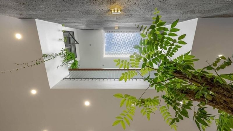 Nắm Rõ Phong Thủy Nhà Ống Để Thu Hút Tài Lộc Và Vượng Khí 6 Giếng trời nên đặt ở vị trí lấy sáng, gió tốt nhất cho ngôi nhà (Nguồn: VTC News)