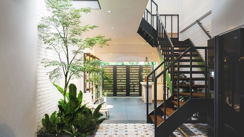 Nắm Rõ Phong Thủy Nhà Ống Để Thu Hút Tài Lộc Và Vượng Khí 7 Gia chủ nên bố trí thêm cây xanh để tạo nên sự hài hòa, thoáng đãng (Nguồn: VTC News)