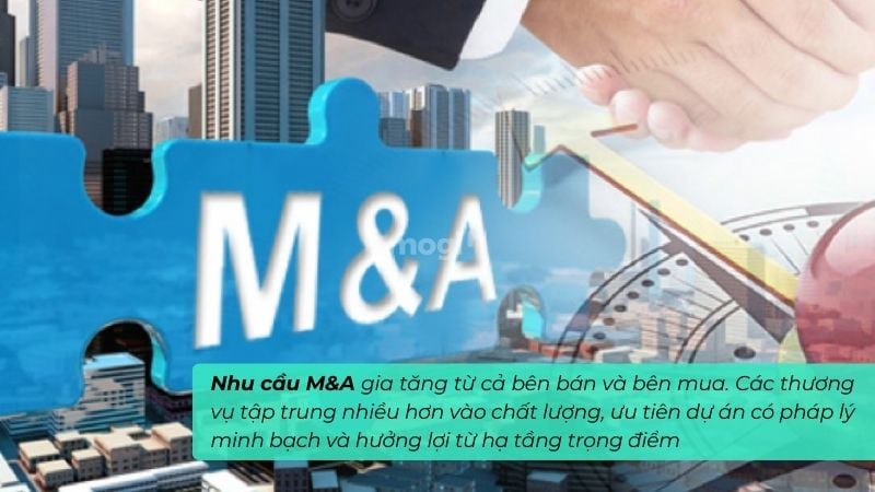 M&A bất động sản 2026: Cơ hội và xu hướng 2 Nhu cầu M&A gia tăng và sôi động hơn trong năm 2026