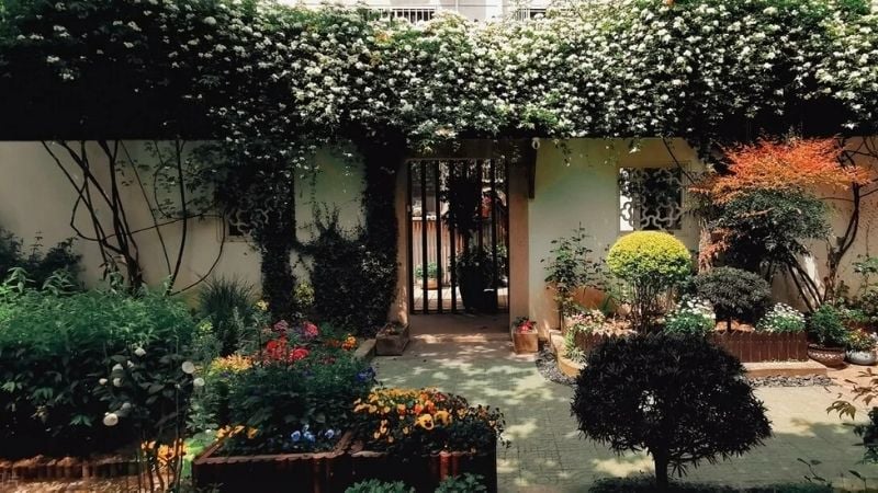 Một số loại cây theo quan niệm dân gian được cho là mang nhiều âm khí hoặc ý nghĩa không may mắn