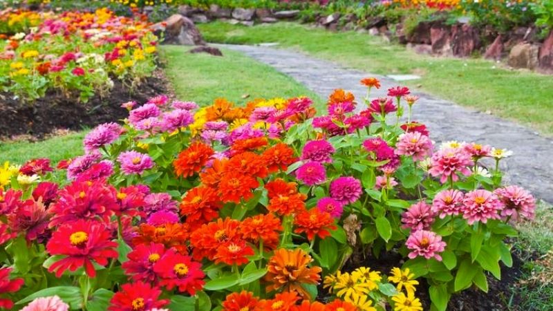 Sử dụng quá nhiều gam màu nóng chói có thể gây bức bối, mất cân bằng