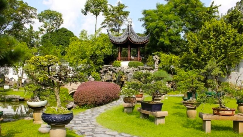 Mệnh Hỏa hợp với những không gian tràn đầy ánh sáng và màu sắc ấm áp