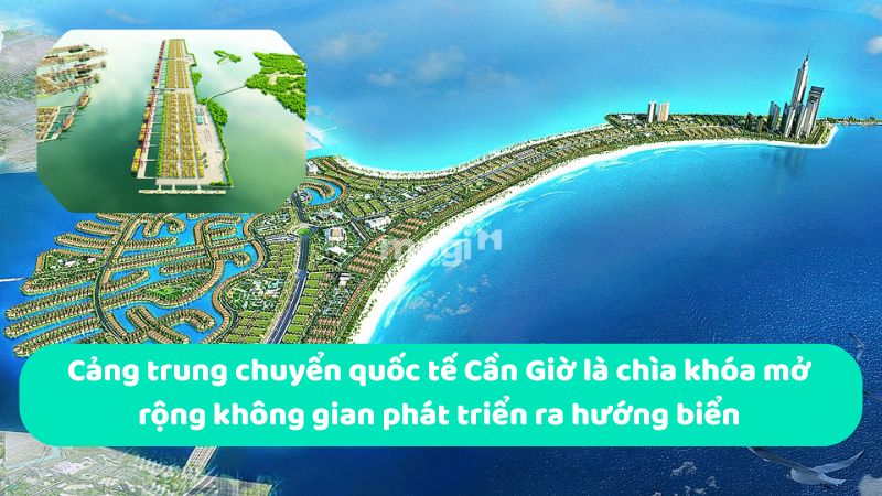 Cảng trung chuyển quốc tế Cần Giờ là chìa khóa mở rộng không gian phát triển ra hướng biển