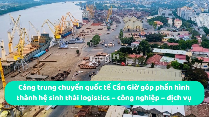 Cảng trung chuyển quốc tế Cần Giờ góp phần hình thành hệ sinh thái logistics – công nghiệp – dịch vụ