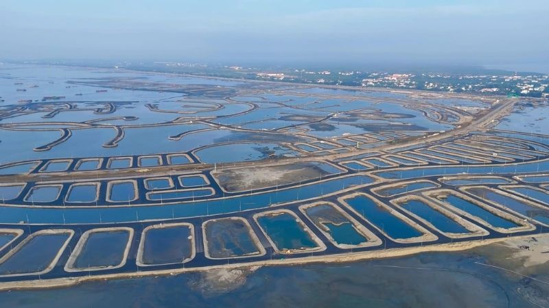 Hiện trạng thi công thực tế tại dự án lấn biển Cần Giỡ