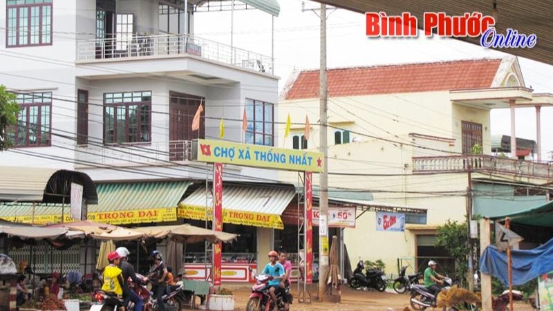 Nhu cầu nhà ở tại khu vực Thống Nhất
