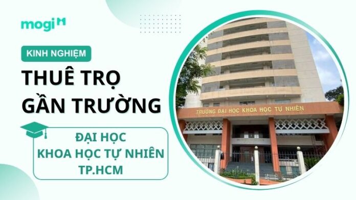 Kinh nghiệm thuê trọ gần trường Đại học Khoa học Tự nhiên TP.HCM