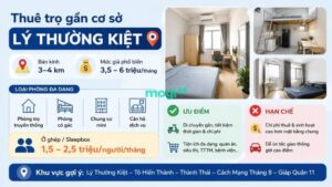 Kinh nghiệm thuê trọ gần Trường Đại học Bách Khoa TP.HCM 4 Gợi ý khu vực thuê trọ ở cơ sở Lý Thường Kiệt (Q10)
