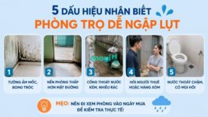 Kinh nghiệm thuê trọ gần Trường Đại học Bách Khoa TP.HCM 8 Cách nhận biết phòng trọ ngập lụt gần Đại học Bách Khoa TP.HCM