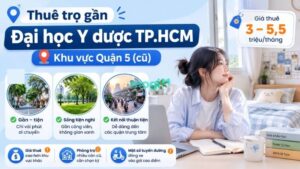 Kinh nghiệm thuê trọ gần Đại học Y Dược TP.HCM 3 Gợi ý khu vực thuê trọ gần cơ sở Quận 5 cũ