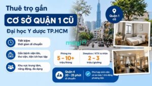 Kinh nghiệm thuê trọ gần Đại học Y Dược TP.HCM 5 Gợi ý khu vực thuê trọ gần cơ sở Quận 1 cũ
