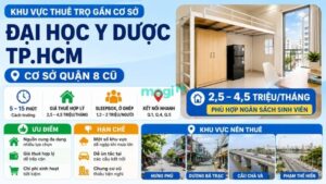 Kinh nghiệm thuê trọ gần Đại học Y Dược TP.HCM 6 Gợi ý khu vực thuê trọ gần cơ sở Quận 8 cũ