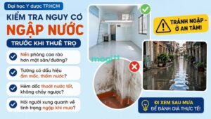 Kinh nghiệm thuê trọ gần Đại học Y Dược TP.HCM 10 Sinh viên nên kiểm tra nguy cơ ngập nước trước khi quyết định thuê