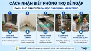Kinh nghiệm thuê trọ gần trường Đại học Tài Chính Marketing (UFM) 10 Cách nhận biết phòng trọ dễ ngập gần trường Đại học Tài chính - Marketing