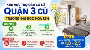 Kinh nghiệm thuê trọ gần trường Đại học Hoa Sen 4 Khu vực trọ gần cơ sở quận 3 cũ
