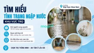 Kinh nghiệm thuê trọ gần trường Đại học Hoa Sen 9 Sinh viên nên tìm hiểu tình trạng ngập nước của khu vực trọ trước khi quyết định