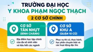 Kinh nghiệm thuê trọ gần trường Đại học Y khoa Phạm Ngọc Thạch 2 Đại học Y khoa Phạm Ngọc Thạch hiện sử dụng song song hai cơ sở chính để phục vụ công tác giảng dạy