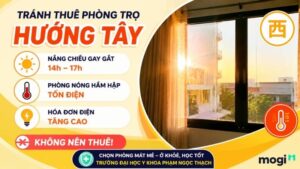 Kinh nghiệm thuê trọ gần trường Đại học Y khoa Phạm Ngọc Thạch 6 Sinh viên nên tránh thuê phòng trọ hướng Tây để có không gian sống mát mẻ