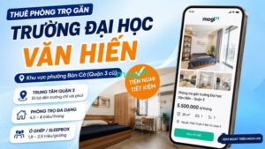 Kinh nghiệm thuê trọ gần trường Đại học Văn Hiến 6 Khu vực trọ gần trường Đại học Văn Hiến ở phường Bàn Cờ (Quận 3 cũ)