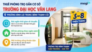 Kinh nghiệm thuê trọ gần trường Đại học Văn Lang 3 Khu vực trọ gần Trường Đại học Văn Lang ở phường Bình Lợi Trung (Quận Bình Thạnh cũ)