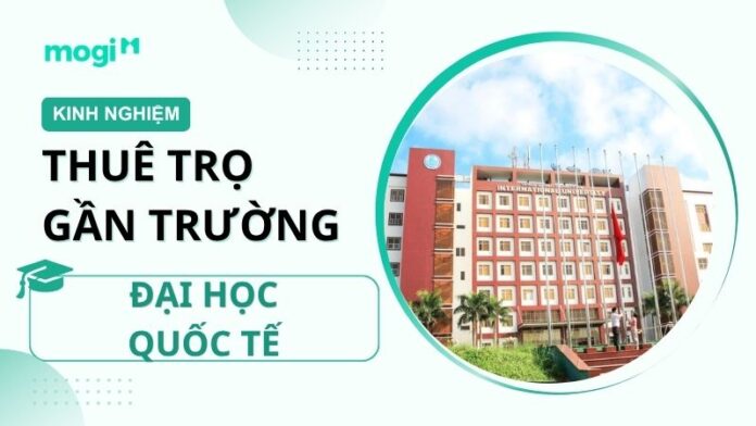 Kinh nghiệm thuê trọ gần trường Đại học Quốc tế